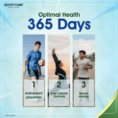 Goodcare Chyawan Boost Sugarfree 500Gm